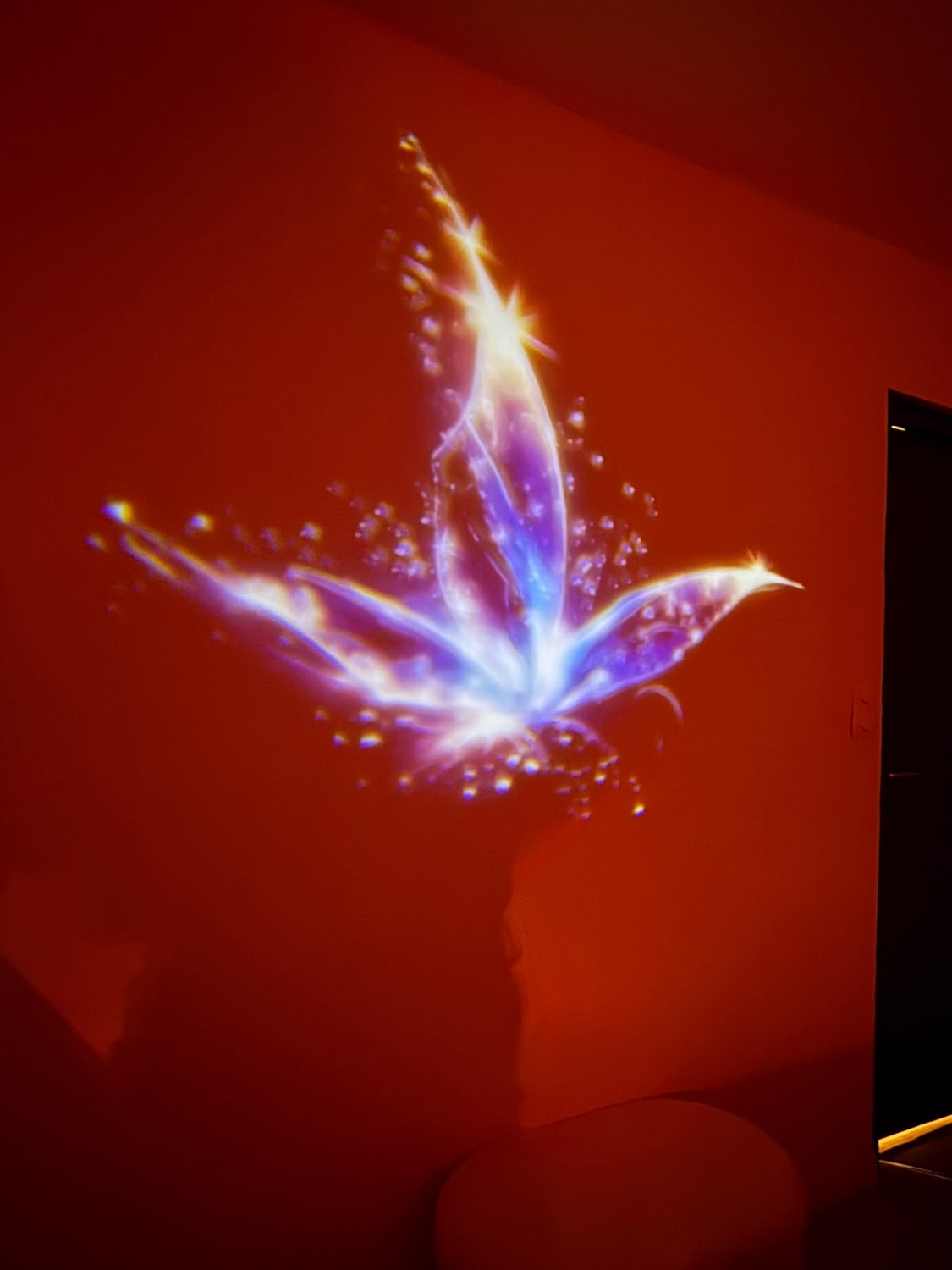 Projection lumineuse fleur de lotus